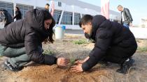 NEVÜ’lü Genç Turizmciler Sürdürülebilir Gelecek İçin Fidanları Toprakla Buluşturdu